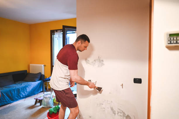 Best Professional Mold Removal  in The Villages, FL